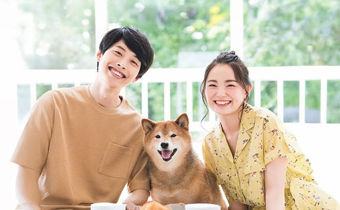 アニマルペットシータラクト 60カプセル入り×2箱【サプリメント 健康 健康食品 ペット 犬猫用 免疫 関節 腰 ビタミン 乳酸菌 三重県 四日市市 四日市 ふるさと納税】 -[G1223]