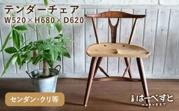 テンダーチェア 糸島市 / 工房はーべすと [AYA061] 椅子 家具