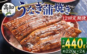 うなぎ 定期便 12回 国産 約220g 2尾 蒲焼き 高知県産 養殖 魚介 国産 海鮮 魚 かばやき 鰻 ウナギ 惣菜 おかず お手軽 加工品 加工食品 冷凍 Wfb-0064