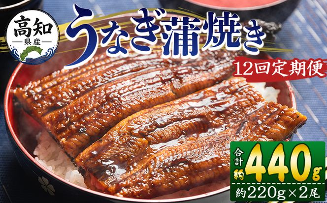 うなぎ 定期便 12回 国産 約220g 2尾 蒲焼き 高知県産 養殖 魚介 国産 海鮮 魚 かばやき 鰻 ウナギ 惣菜 おかず お手軽 加工品 加工食品 冷凍 Wfb-0064