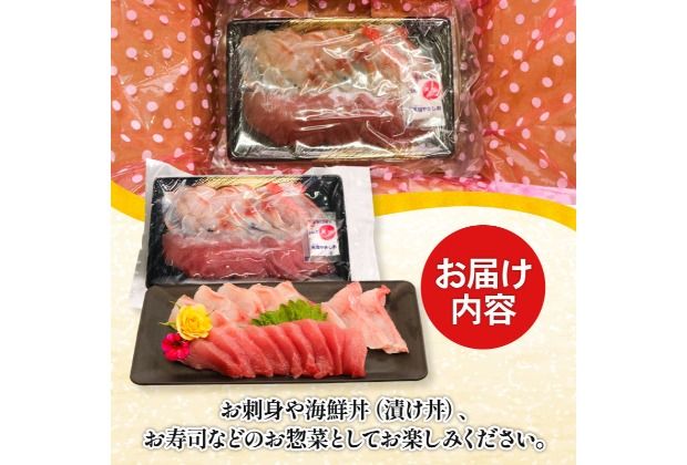 ほんとに美味しい！室戸のお刺身　２～３種盛り合わせお楽しみセット（２～３人前）鮮魚 旬の魚 刺し身 高知県 板前厳選 室戸市 カツオ 金目鯛 鯵 はまち