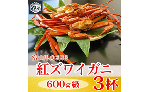 【冷蔵】自社漁船直送！魚卸問屋の紅ズワイガニ 600g級×3ハイセット ※2026年9月～発送