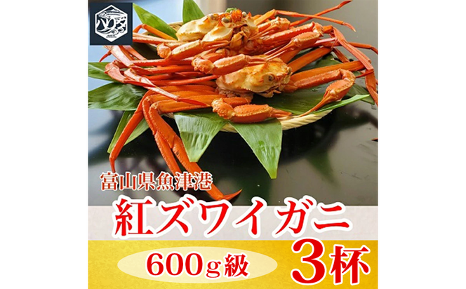 【冷蔵】自社漁船直送！魚卸問屋の紅ズワイガニ 600g級×3ハイセット ※2026年9月～発送