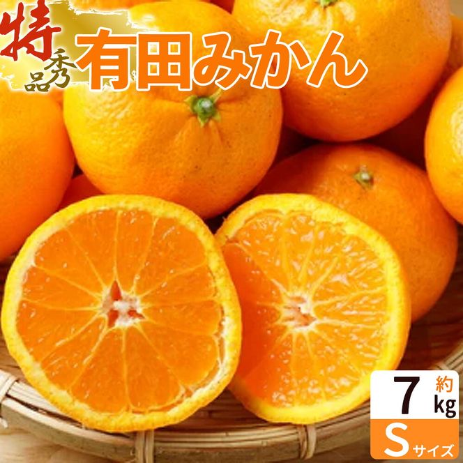 有田みかん 特撰秀 約7kg (Sサイズ)_ZP6108n