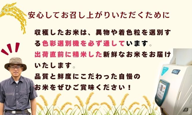 y쌧юRsz[ߘaVNY]  MZюR`ؓt@[̂ā` RVqJ  5s (7-8B)