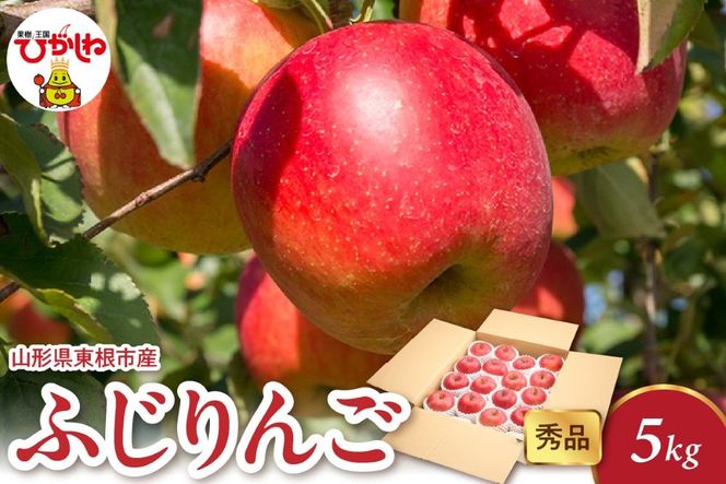 2025年産 ふじりんご 5kg（10-22玉） 秀品 山形県 東根市 hi082-018-2