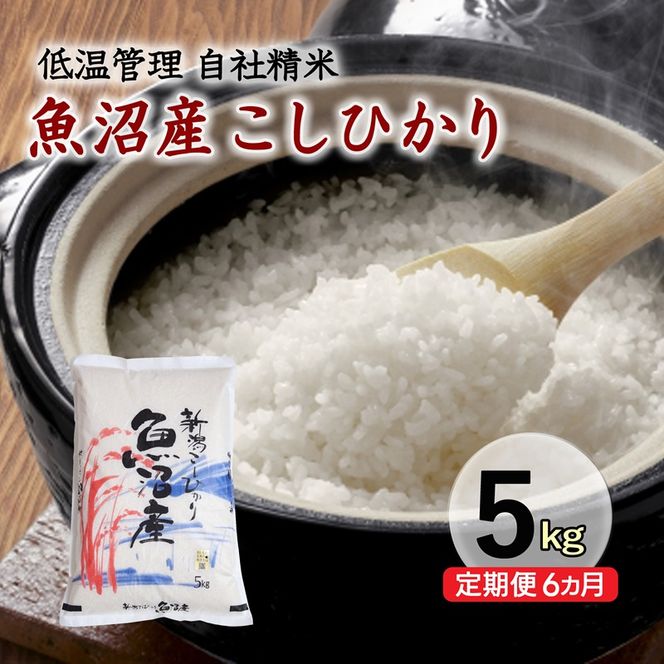 【定期便／6ヵ月】魚沼産コシヒカリ　5kg　厳選　低温管理　自社精米　新潟　こしひかり