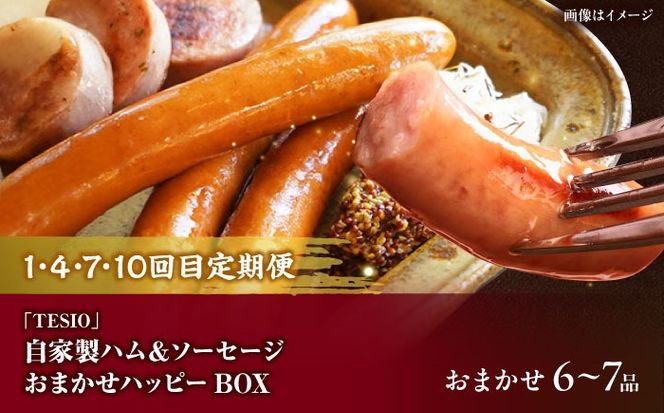 【全12回定期便】沖縄の絶品肉加工品セット【沖縄市】豚肉 ハム ソーセージ 豚まん ぶたまん ちまき 焼売 シュウマイ ハンバーグ 沖縄市 / TESIO / 豚々茶舗 / お肉屋本店[BCZZ032]