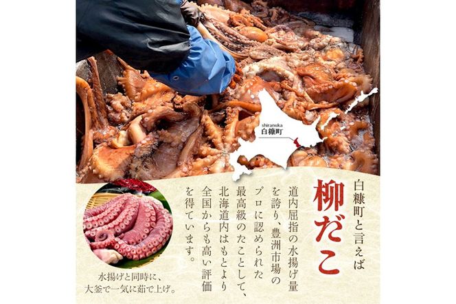 「しらぬか産柳だこ」とBBQに「たこ串(塩味・味噌味・醤油味)」のセット