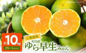 AT6257n_【2026年先行予約】有田みかん 約10kg ご家庭用 和歌山 ゆら早生 極早生 (SS、S、M、Lサイズ)【湯浅町】