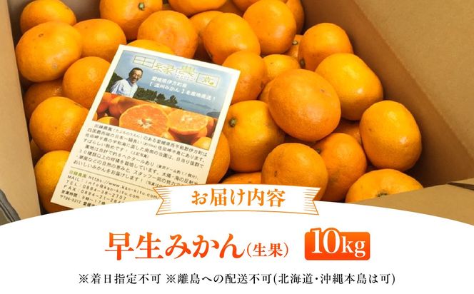 【先行予約】【数量限定】田縁農園の早生みかん（生果）10kg ※離島への配送不可 （2026年11月10日より順次発送） IKTA026