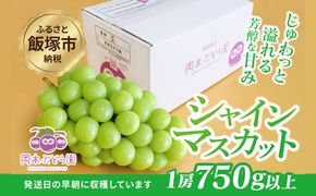 【A5-542】シャインマスカット 約750g