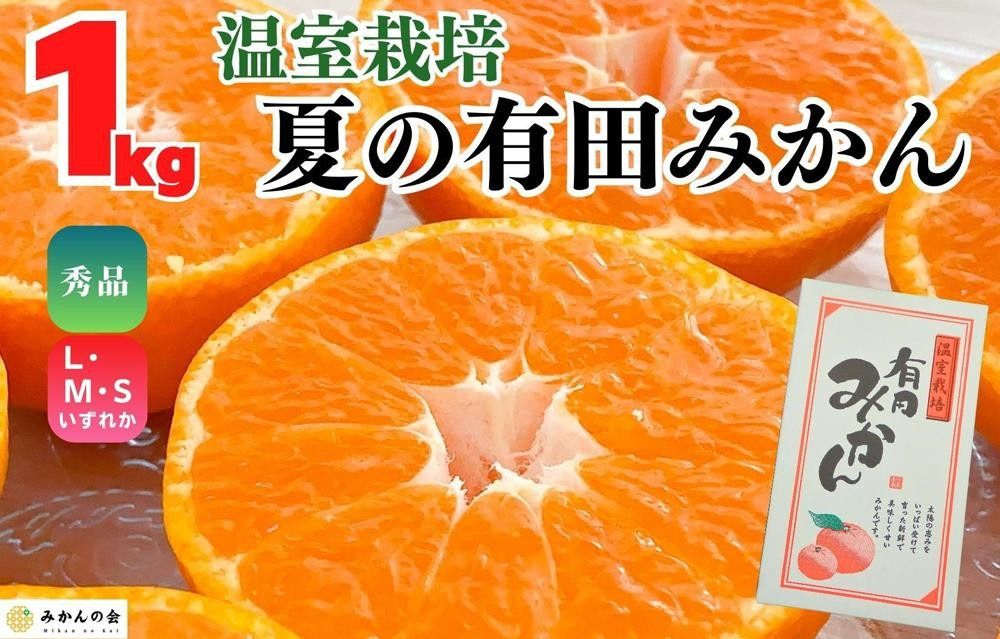 [お中元]ハウスみかん 温室栽培 夏の有田みかん 約1kg 秀品 S・M・Lサイズのいずれか 和歌山県 産地直送 みかんの会 [7月上旬〜8月上旬に順次発送] AX154-02