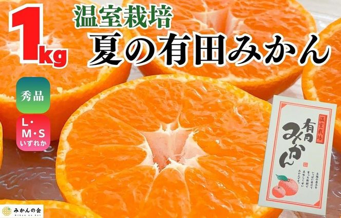 【お中元】ハウスみかん 温室栽培 夏の有田みかん 約1kg 秀品 S・M・Lサイズのいずれか 和歌山県 産地直送 みかんの会 【7月上旬～8月上旬に順次発送】 AX154-02