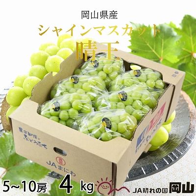【2026年8月下旬より発送】岡山県産 シャインマスカット 晴王 4kg(5房～10房) ぶどう 葡萄 ブドウ フルーツ 果物