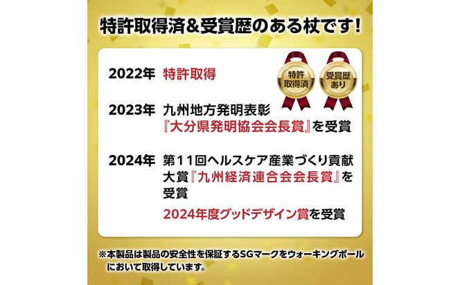 【R17014】ウォーキング Issoku-CHO（1足長） オールブラック 2本セット