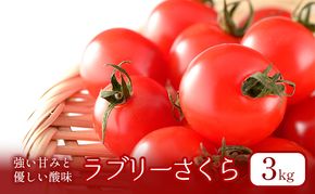 【2026年夏発送】ふらの ミニトマト 3kg（品種：ラブリーさくら）北海道 富良野市 野菜 新鮮 直送 トマト 道産 ふらの 送料無料 数量限定 先着順