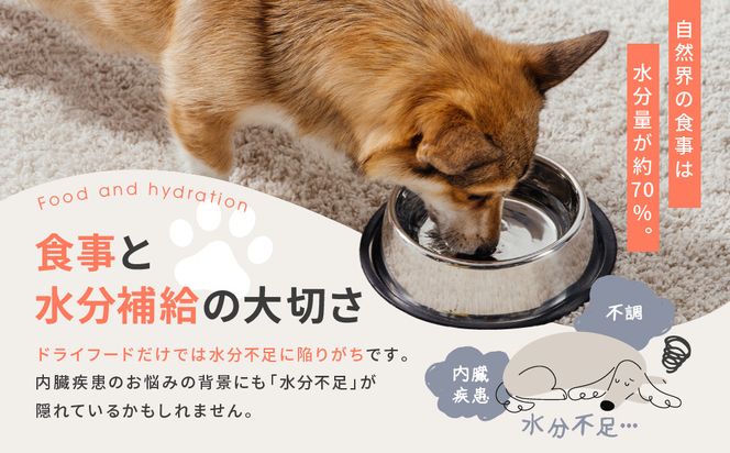 【MANMA BUONO】犬の手作りごはん お試しAセット3種｜京都 ペットフード ブランド 有名 人気ペットフード［ 愛犬の健康を支える ペーットフード 3種 人気セット こだわり 美味しい 栄養 ごはん 食事 人気 おすすめ お取り寄せ 通販 送料無料 ふるさと納税 ］ 261009_A-ABP001