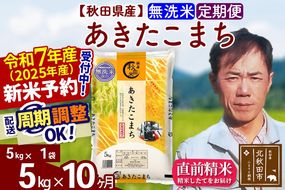 ※令和7年産 新米予約※《定期便10ヶ月》秋田県産 あきたこまち 5kg【無洗米】(5kg小分け袋) 2025年産 お届け周期調整可能 隔月に調整OK お米 みそらファーム|msrf-30310