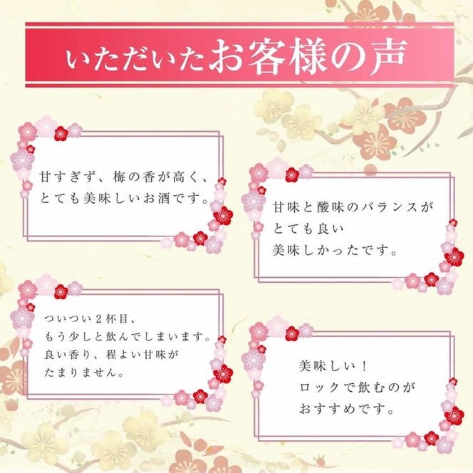 知多梅酒720ml 1ケース ◆ ❘ 梅酒　お酒　國盛　國盛FARM　果実酒　食前酒　リキュール　ロック　ソーダ割　紅南高梅　南高梅　完熟梅　フルーツ　愛知県　美浜町　中埜酒造