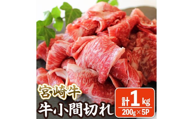 y{茧쒬z{苍 Ԑ؂ (v1kgE200g×5)    јa uha ؂藎Ƃ ܓ Ⓚ Y {茧 yЃ}~XgAzyMA-11z