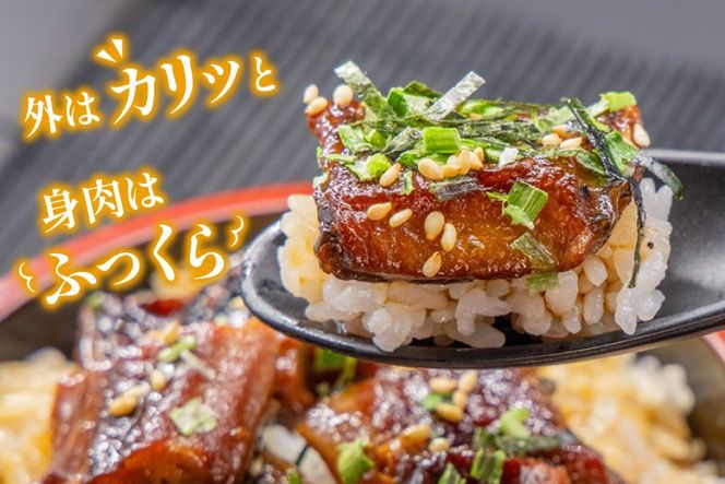 【静岡県吉田町加工】国産うなぎ うなぎ櫃まぶし詰合せ　あとはご飯にのせるだけ、だし汁・薬味付き [フーズ・ユー綱正 静岡県 吉田町 22424054] 鰻 ウナギ ひつまぶし 蒲焼 蒲焼き  タレ付き 国産