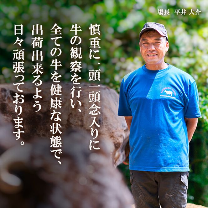 神戸牛カレー 2缶 缶詰 神戸牛 インスタントカレー レトルトカレー 防災食