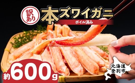 かに 本ズワイガニ 訳あり 冷凍 ボイル 足 ハーフポーション 600g | カニ 蟹 本ずわいがに ズワイガニ ずわいがに 不揃い 規格外 海産物 海鮮 かにしゃぶ かに鍋 ギフト ふるさと納税 北海道 登別市