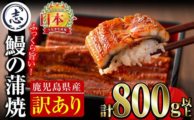 【訳あり・数量限定】復活！不揃いのうなぎ達 計800g以上(鹿児島県産 鰻の蒲焼き) b2-040