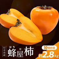 【2026年11月より順次発送】行方市産 蜂屋柿 約2.8kg｜柿 先行予約 茨城県（CP-16）