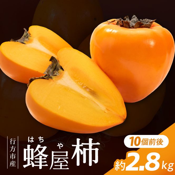 【2026年11月より順次発送】行方市産 蜂屋柿 約2.8kg｜柿 先行予約 茨城県（CP-16）