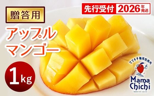 【贈答用】【先行受付・2026発送】ママチチマンゴーファームの贈答用アップルマンゴー約1kg - 先行予約 沖縄県産 産地直送 南国フルーツ 旬の味覚 旬のフルーツ 贈り物 ギフト 沖縄県 八重瀬町