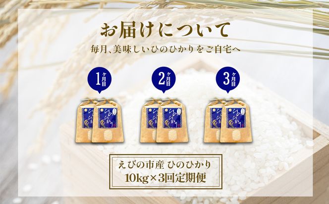 【令和7年産】【3回定期便】米 ひのひかり 10kg 合計 30kg 九州 霧島 えびの産 ヒノヒカリ 発送直前に精米 農家 直送 お米 おこめ こめ コメ 白米 ふるさと納税 10キロ 九州産 宮崎県産 宮崎県 送料無料