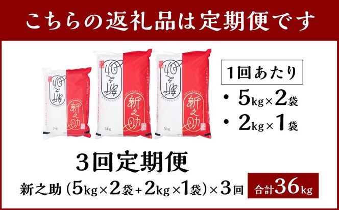 【令和6年産米】【定期便：3ヶ月連続でお届け】 村上市産 新之助 36kg （12kg×3ヶ月）コース 1027012