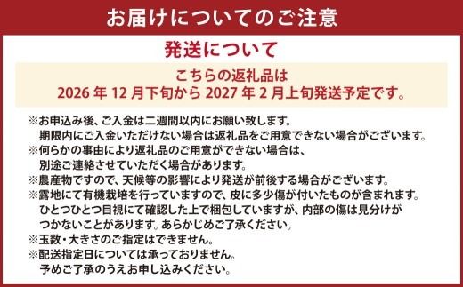【先行受付】特別栽培スイートスプリング 10kg サイズミックス スイートスプリング みかん フルーツ 果物 果実 特別栽培 九州 熊本県産【2026年12月下旬から2027年2月上旬発送予定】