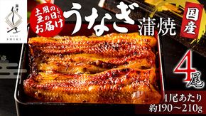 【 麻布しき 】 国産 鰻 蒲焼 × 4尾【 数量限定 寄附額 61000円 → 55000円 】 うなぎ ウナギ 冷凍 おいしい 蒲焼き かばやき たれ焼き 土用 丑の日 無頭 タレ 山椒 付 縁起 敬老の日 名店 老舗 土用の丑の日 鰻祭り [DJ009us]