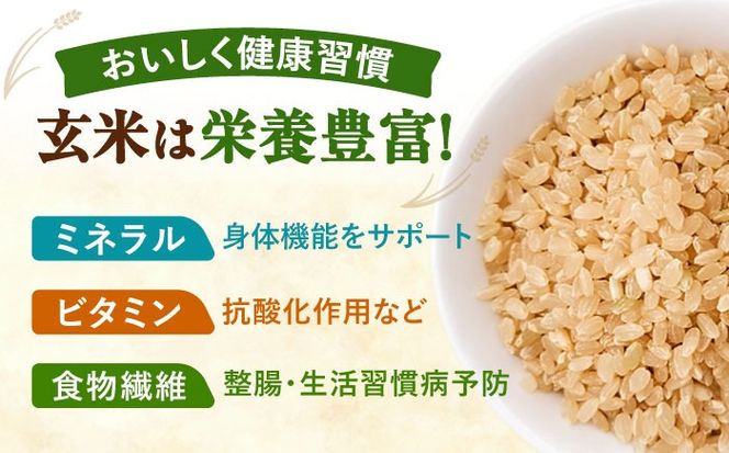 ＼大容量／ あいちのかおり 玄米 30kg お米 玄米 愛西市 / 日栄トラクター【配送不可地域：北海道・沖縄・離島】[AEDM001]