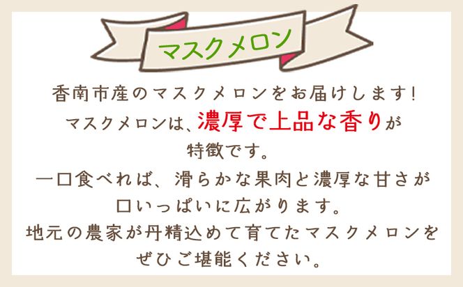 【令和8年3月発送開始】マスクメロン １玉 家庭用 yr-0088