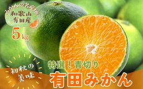 【先行予約】【初秋の美味】【農家直送】特選　青切り有田みかん　約5kg+200g(傷み補償分)【2026年9月中旬～10月上旬頃に順次発送予定】【ard044D】