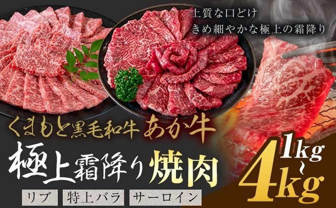 黒毛和牛 あか牛 極上霜降り リブ サーロイン 特上バラ 焼肉 1kg 2kg 4kg《30営業日以内に出荷予定(土日祝除く)》熊本県 氷川町 牛 牛肉 和牛 ブランド牛---hkw_26_lcl_437_1kg---