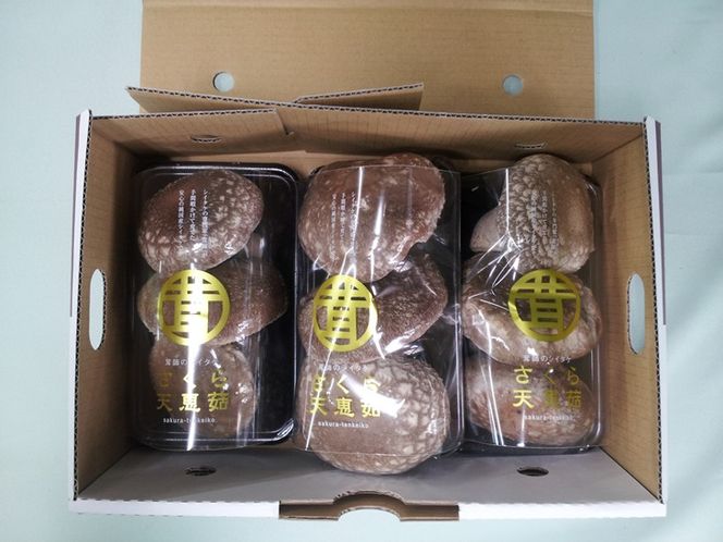 超肉厚大型しいたけ”さくらてんけいこ”３パックセット