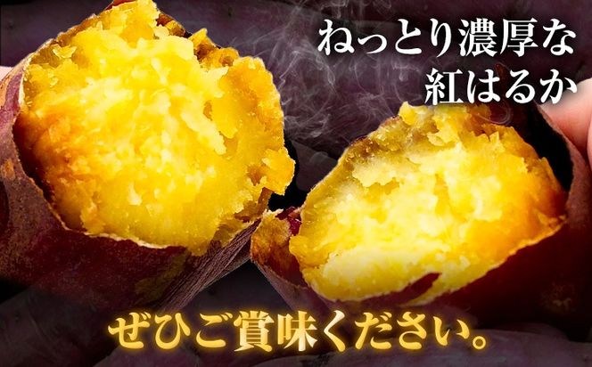 さつまいも 紅はるか 選べる 3.5kg～5kg《12月中旬-2月末頃出荷》熊本県 御船町 野菜 芋 さつま いも 焼き芋 送料無料---mifune_hss_4_3500g---