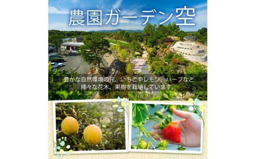 ＜先行予約受付中！2026年12月上旬以降順次発送予定＞凍眠君使用！農園ガーデン空産冷凍いちご(計1.8kg・600g×3P)国産 鹿児島県産 いちご イチゴ 苺 恋みのり 紅ほっぺ かおり野 フルーツ 果物 くだもの おやつ 冷凍 凍眠 フローズン 自社農園【農園ガーデン空】akn026-04