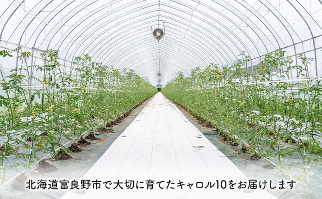 【2026年夏～発送】北海道 富良野産 ミニトマト 約3kg キャロル10 トマト (榎本農園) 富良野市 新鮮 直送 道産 ふらの 送料無料 数量限定 先着順 トマト 甘い 野菜