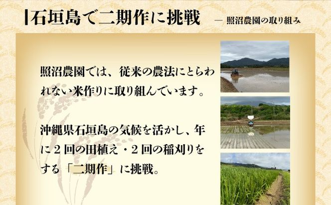 【石垣島産】日本最南端の日本一早い新米（清衛門）2kg×2袋