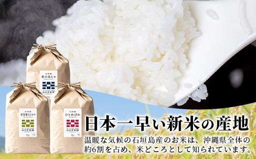 【定期便 3回】3ヶ月連続でお届け 星の美しゃ・於茂登のひかり・ひとめぼれ 5kg が毎月交互に届く(合計15kg) 石垣島産 【 日本一早い新米の産地 石垣 ふるさと納税 沖縄県 石垣市 石垣島 米 星 星の美しゃ】MK-8