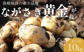 BH049 じゃがいも 希少品種 ながさき黄金 S～2Lサイズ混合 約10kg [ 野菜 芋 ジャガイモ 10キロ ほくほく 先行予約 常備野菜 サイズ混同 国産 贅沢宝庫 長崎県 島原市 ]
