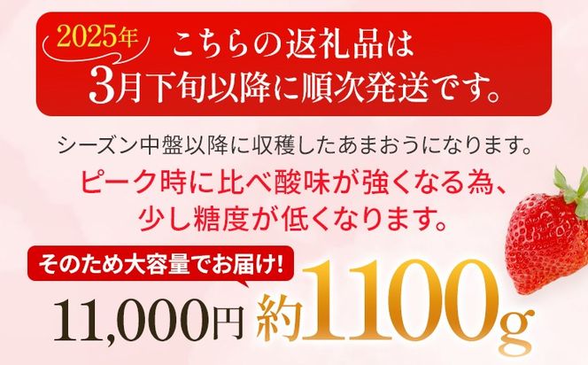 あまおう 約1100g（約275g×4パック） （先行受付／2025年3月下旬以降順次発送予定）いちご 苺 福岡高級 フルーツ お取り寄せ ご当地グルメ 福岡土産 取り寄せ グルメ 福岡県 食品 社会福祉法人 猪位金福祉会