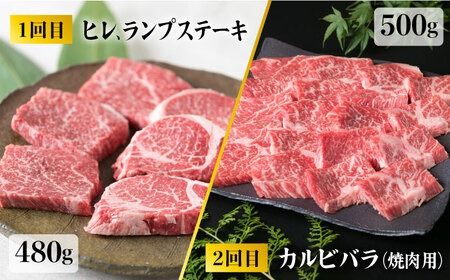 【全6回定期便】 糸島 黒毛和牛 食べ比べ セット 2人前 約3kg 糸島 / 糸島ミートデリ工房 [ACA110] 肉 ランプ シャトーブリアン