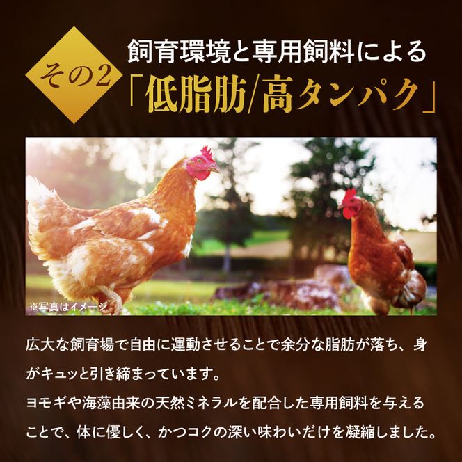 奥久慈しゃも肉詰め合わせ・贅沢4種セット（正肉スライス約200g・唐揚げ用カット約400g・ササミ約200g・焼き鳥肉串刺し10本入り）｜茨城県 大子町 奥久慈 袋田 奥久慈しゃも生産組合 軍鶏 シャモ 地鶏 鶏肉 正肉 からあげ ささみ 冷凍（AR007）